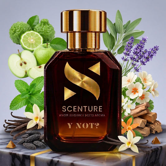 Y NOT?-IMPRESSION OF YSL Y